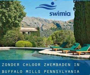 Zonder chloor Zwembaden in Buffalo Mills (Pennsylvania)