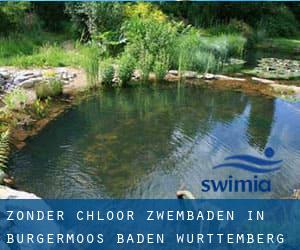 Zonder chloor Zwembaden in Bürgermoos (Baden-Württemberg)