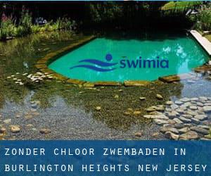 Zonder chloor Zwembaden in Burlington Heights (New Jersey)