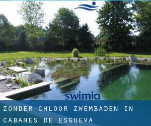 Zonder chloor Zwembaden in Cabañes de Esgueva