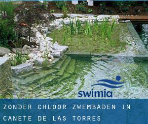 Zonder chloor Zwembaden in Cañete de las Torres