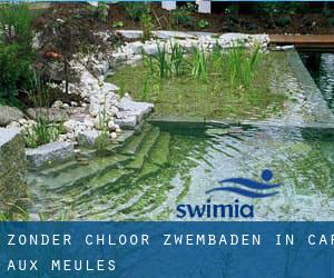 Zonder chloor Zwembaden in Cap-aux-Meules