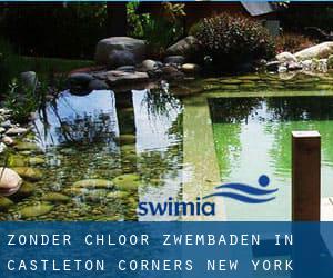 Zonder chloor Zwembaden in Castleton Corners (New York)