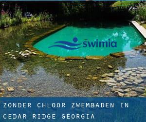 Zonder chloor Zwembaden in Cedar Ridge (Georgia)