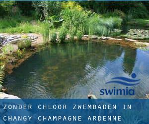 Zonder chloor Zwembaden in Changy (Champagne-Ardenne)