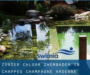 Zonder chloor Zwembaden in Chappes (Champagne-Ardenne)