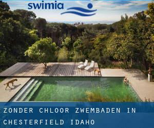 Zonder chloor Zwembaden in Chesterfield (Idaho)