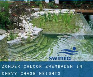 Zonder chloor Zwembaden in Chevy Chase Heights