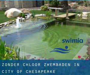 Zonder chloor Zwembaden in City of Chesapeake