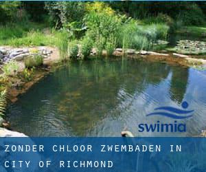 Zonder chloor Zwembaden in City of Richmond