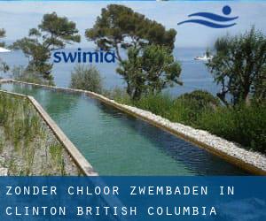 Zonder chloor Zwembaden in Clinton (British Columbia)