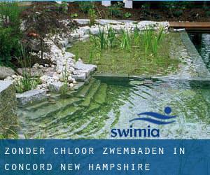 Zonder chloor Zwembaden in Concord (New Hampshire)