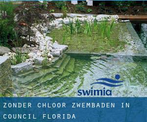 Zonder chloor Zwembaden in Council (Florida)