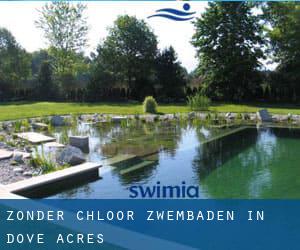 Zonder chloor Zwembaden in Dove Acres