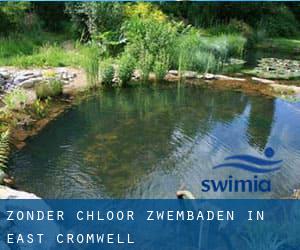 Zonder chloor Zwembaden in East Cromwell