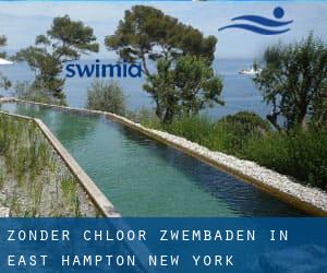 Zonder chloor Zwembaden in East Hampton (New York)