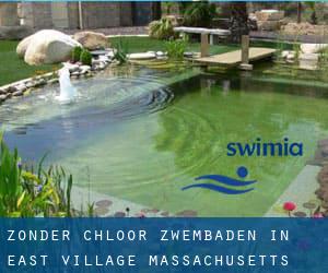 Zonder chloor Zwembaden in East Village (Massachusetts)