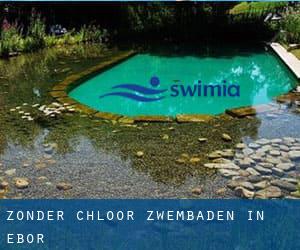 Zonder chloor Zwembaden in Ebor