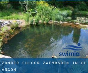 Zonder chloor Zwembaden in El Ancon