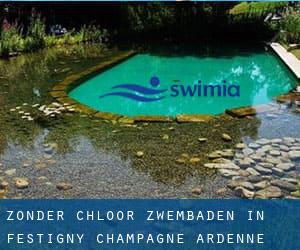 Zonder chloor Zwembaden in Festigny (Champagne-Ardenne)