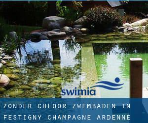 Zonder chloor Zwembaden in Festigny (Champagne-Ardenne)