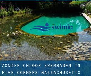 Zonder chloor Zwembaden in Five Corners (Massachusetts)