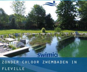 Zonder chloor Zwembaden in Fléville