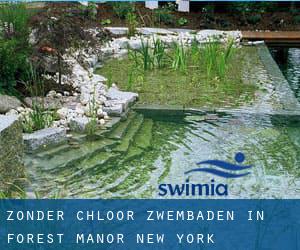 Zonder chloor Zwembaden in Forest Manor (New York)