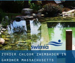 Zonder chloor Zwembaden in Gardner (Massachusetts)