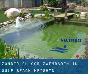 Zonder chloor Zwembaden in Gulf Beach Heights