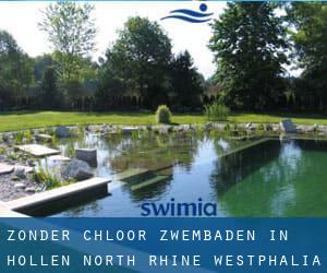 Zonder chloor Zwembaden in Höllen (North Rhine-Westphalia)