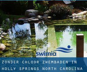 Zonder chloor Zwembaden in Holly Springs (North Carolina)