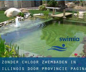 Zonder chloor Zwembaden in Illinois door Provincie - pagina 2