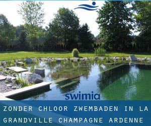 Zonder chloor Zwembaden in La Grandville (Champagne-Ardenne)