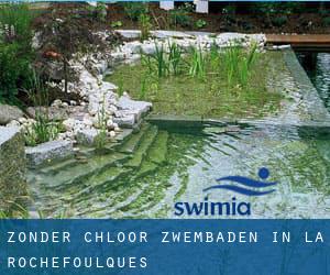 Zonder chloor Zwembaden in La Rochefoulques