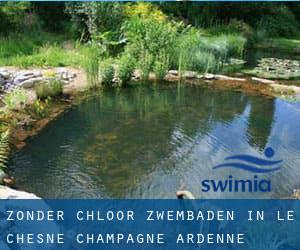 Zonder chloor Zwembaden in Le Chesne (Champagne-Ardenne)