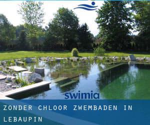 Zonder chloor Zwembaden in L'Ebaupin