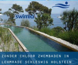 Zonder chloor Zwembaden in Lehmrade (Schleswig-Holstein)