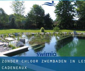 Zonder chloor Zwembaden in Les Cadeneaux