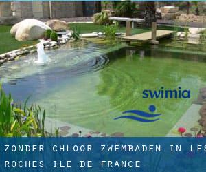 Zonder chloor Zwembaden in Les Roches (Île-de-France)