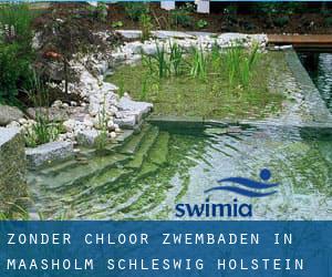 Zonder chloor Zwembaden in Maasholm (Schleswig-Holstein)