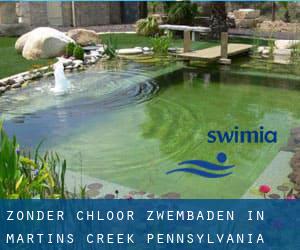 Zonder chloor Zwembaden in Martins Creek (Pennsylvania)