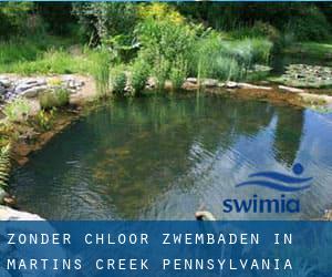 Zonder chloor Zwembaden in Martins Creek (Pennsylvania)