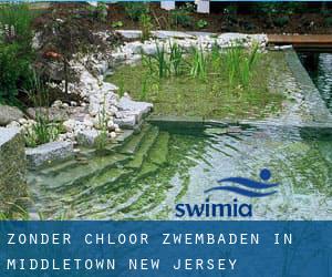 Zonder chloor Zwembaden in Middletown (New Jersey)