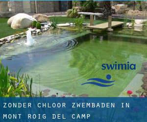 Zonder chloor Zwembaden in Mont-roig del Camp