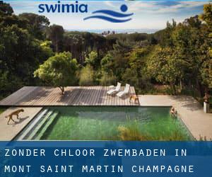 Zonder chloor Zwembaden in Mont-Saint-Martin (Champagne-Ardenne)