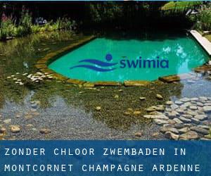 Zonder chloor Zwembaden in Montcornet (Champagne-Ardenne)