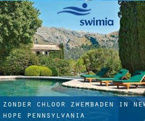 Zonder chloor Zwembaden in New Hope (Pennsylvania)