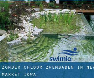 Zonder chloor Zwembaden in New Market (Iowa)