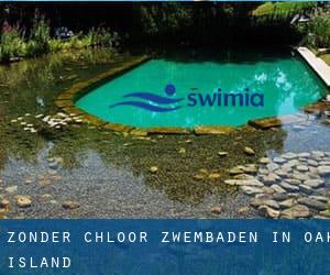 Zonder chloor Zwembaden in Oak Island